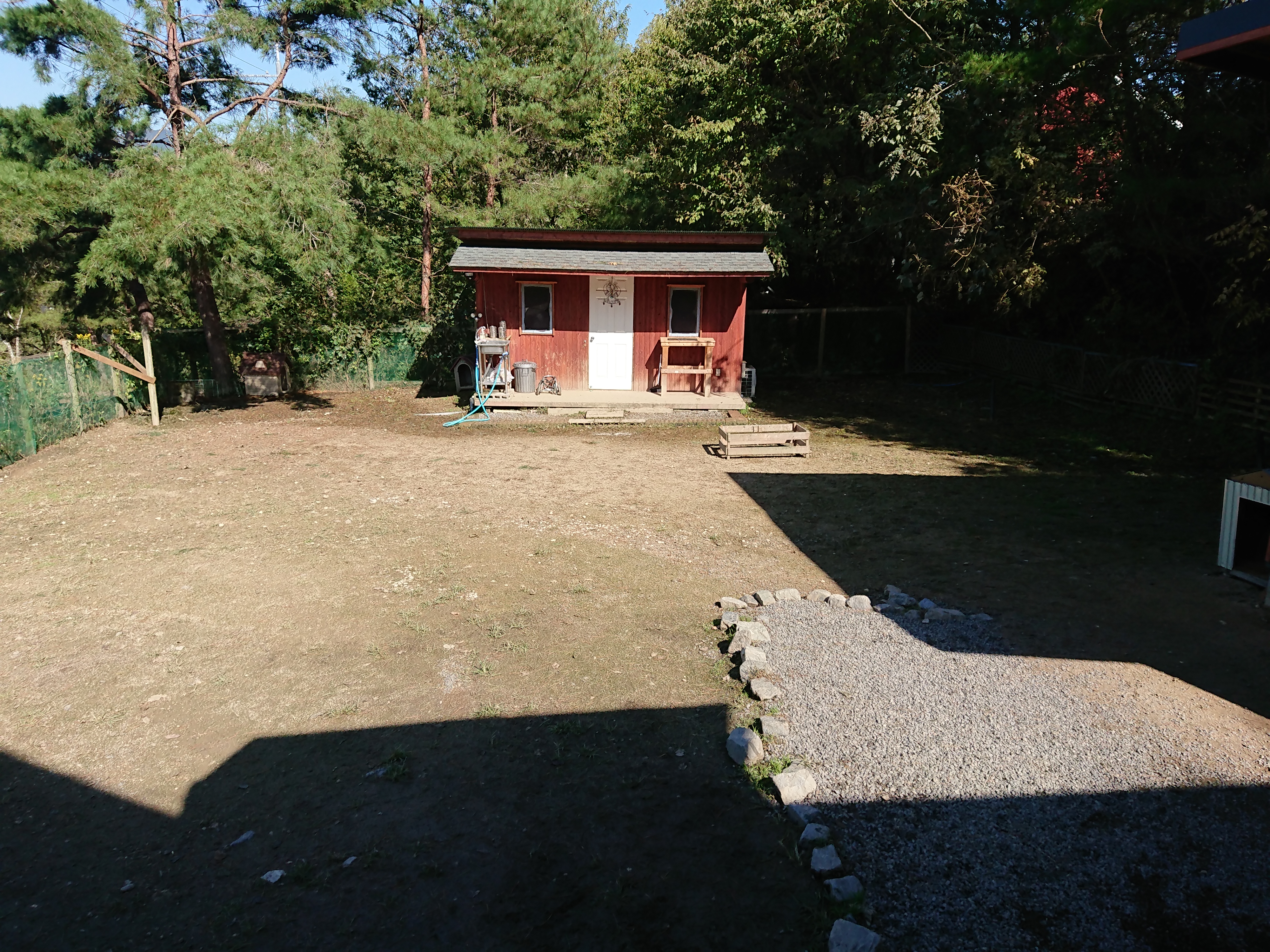 京都の老犬ホーム